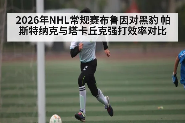 2026年NHL常规赛布鲁因对黑豹 帕斯特纳克与塔卡丘克强打效率对比